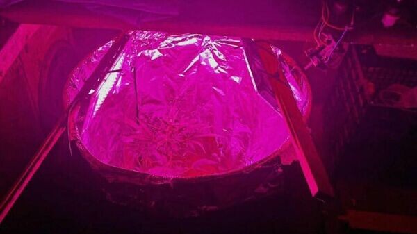    © ГТК Беларуси