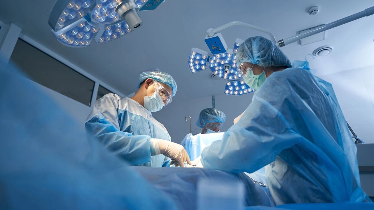    Фото: Svitlana Hulko/Shutterstock/Fotodom