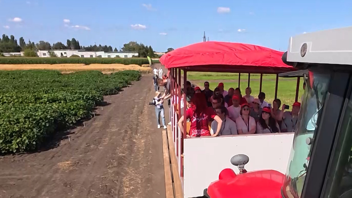    Семена будущего: "Мираторг" на Дне поля демонстрирует достижения селекции