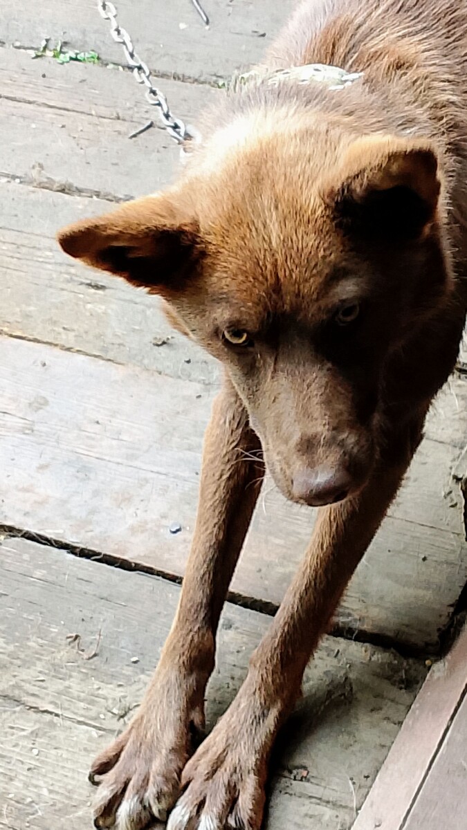 Мишкина благодарность!