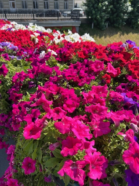 Краски лета