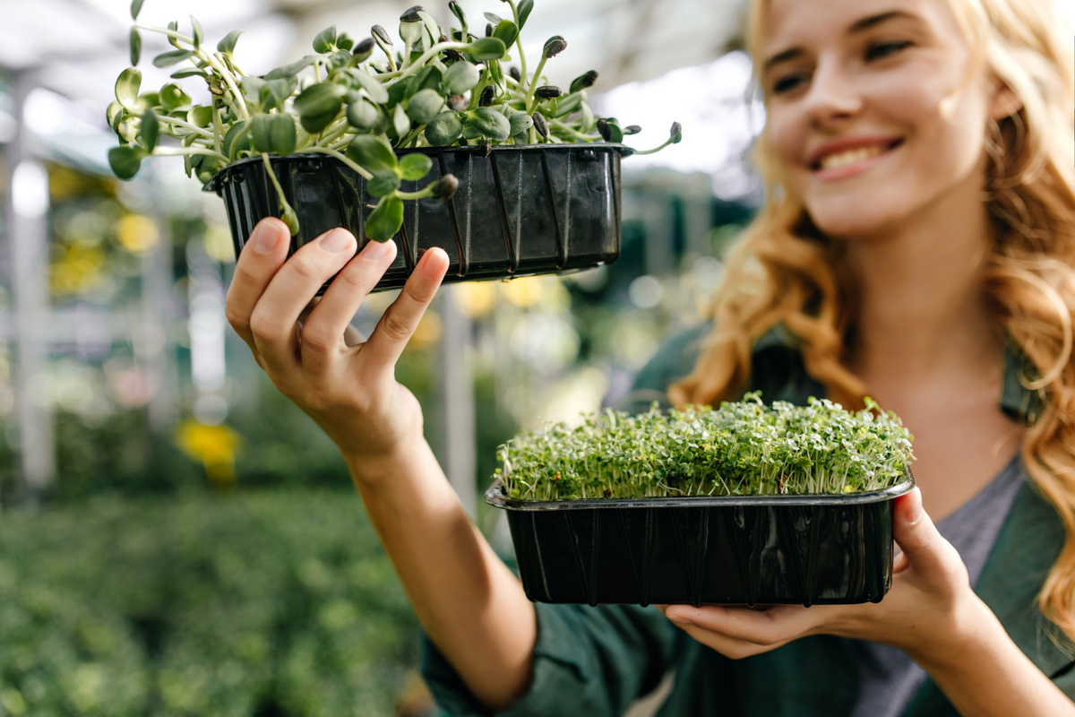   Изображение от lookstudio на Freepik