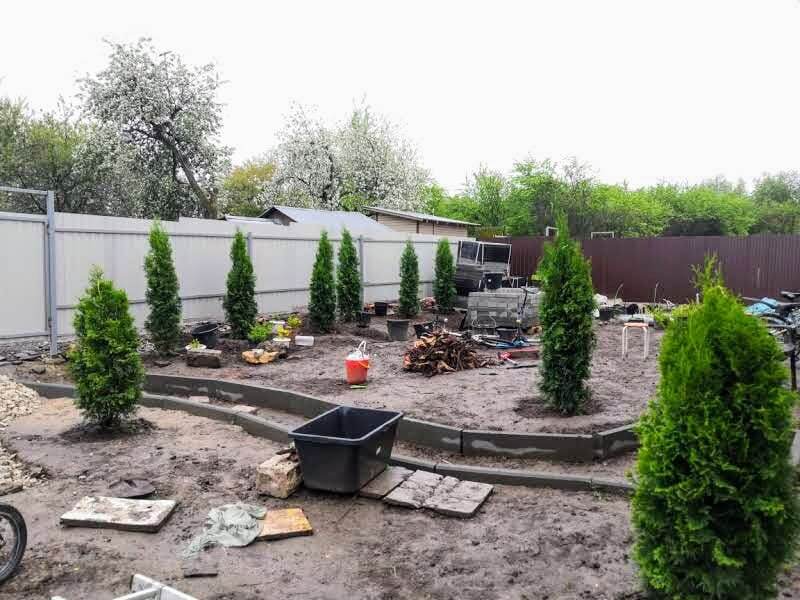 Сад автора, июнь 2022