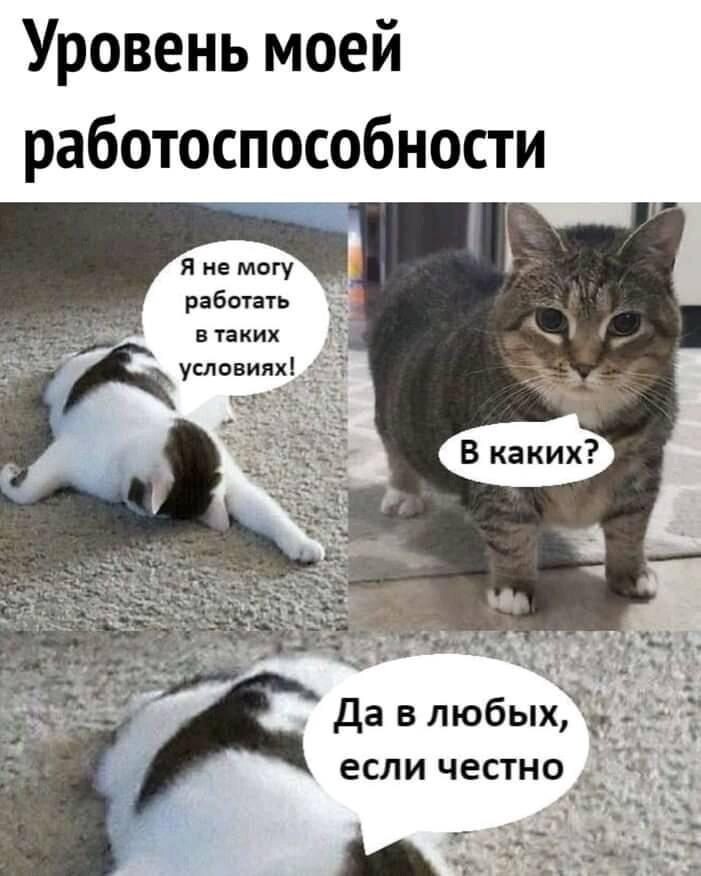 источник Яндекс-картинки