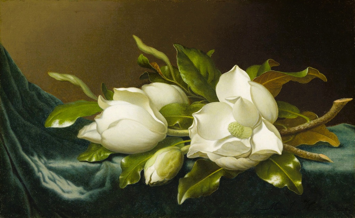 Магнолии от Мартина Джонсона Хеда, Чикагский институт искусств