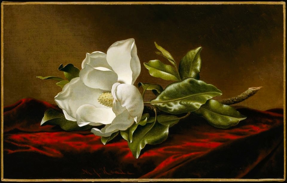 Магнолии от Мартина Джонсона Хеда