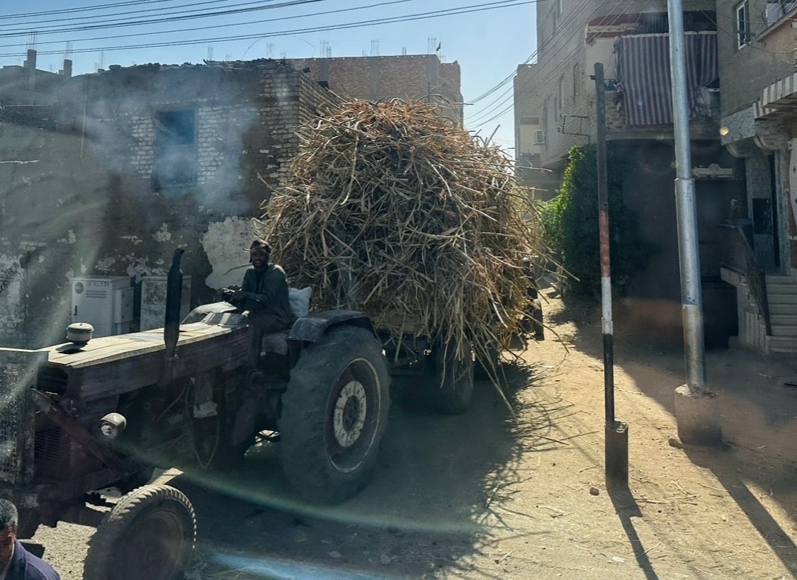 фото из личного архива, город Луксор, Египет