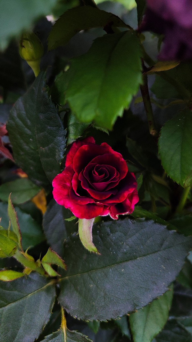 Сколько красивого увидели. 