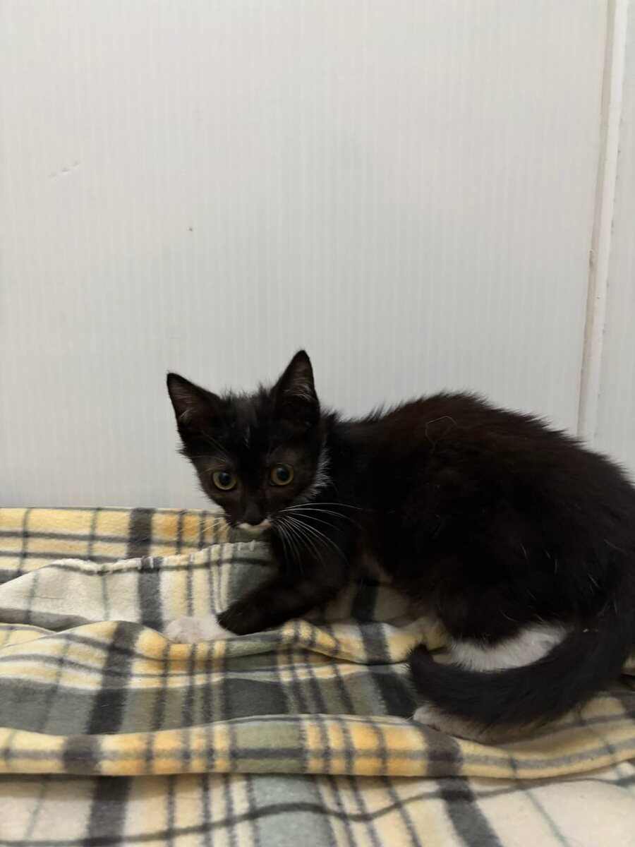 Малыш, не бойся!