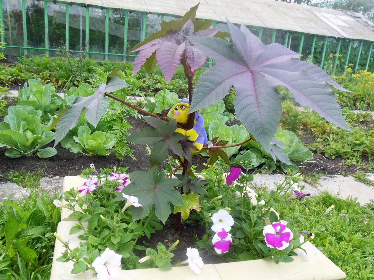 Фото автора канала