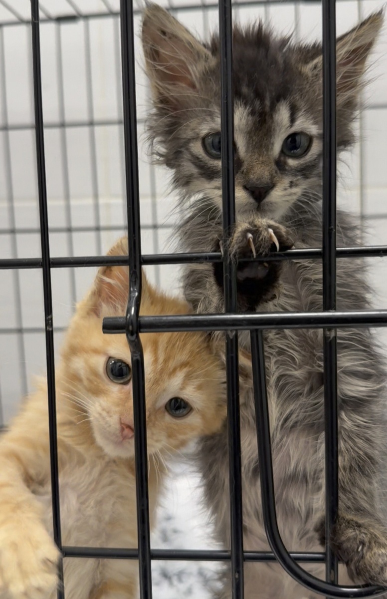 Марсик и Мартин💔