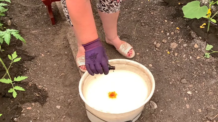 Все компоненты для рабочего раствора за 27 рублей