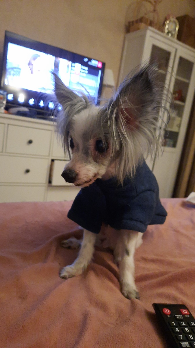 Моя светлая память моей девоче, мы боролись когда никто не верил