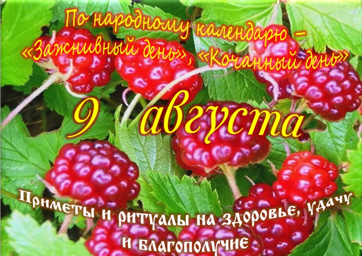 Встречаем новый день