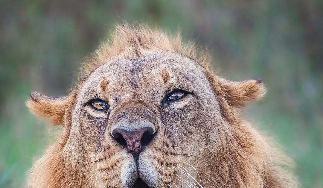 -2