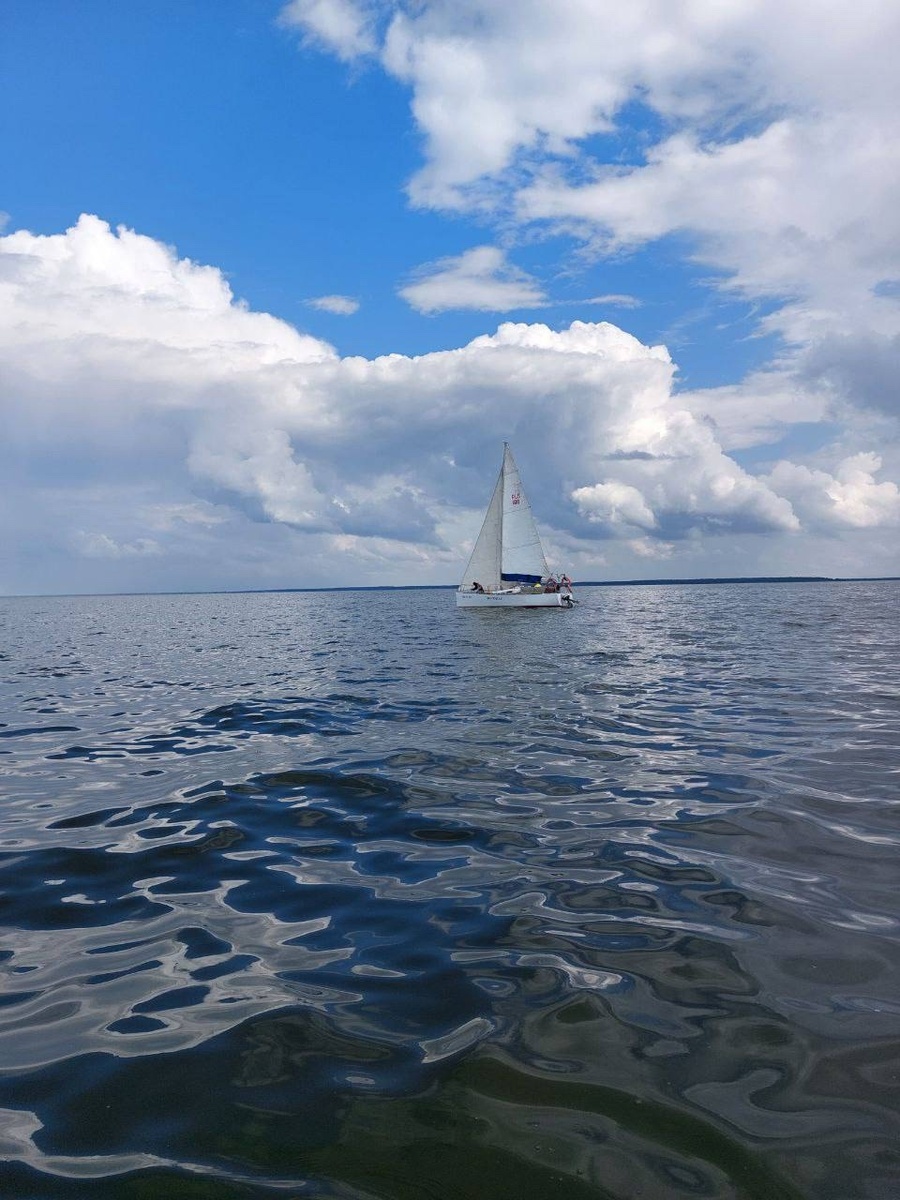 Фотография из открытых источников 