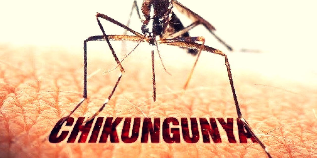 Новый вирус в Китае: нас ждет пандемия или все не так фатально?