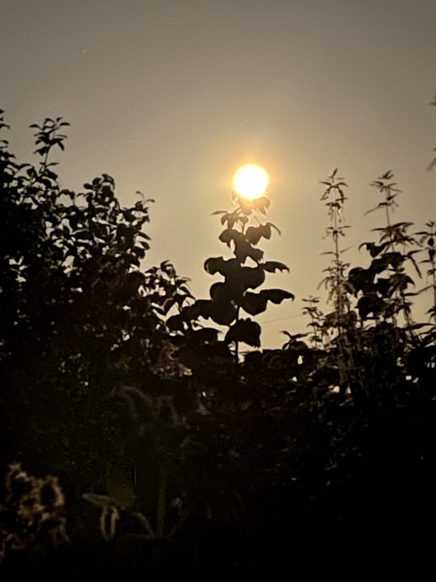 Лунная ночь. Листать влево