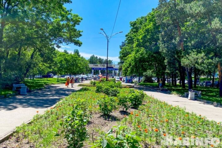    Фото:Елена Барабанова