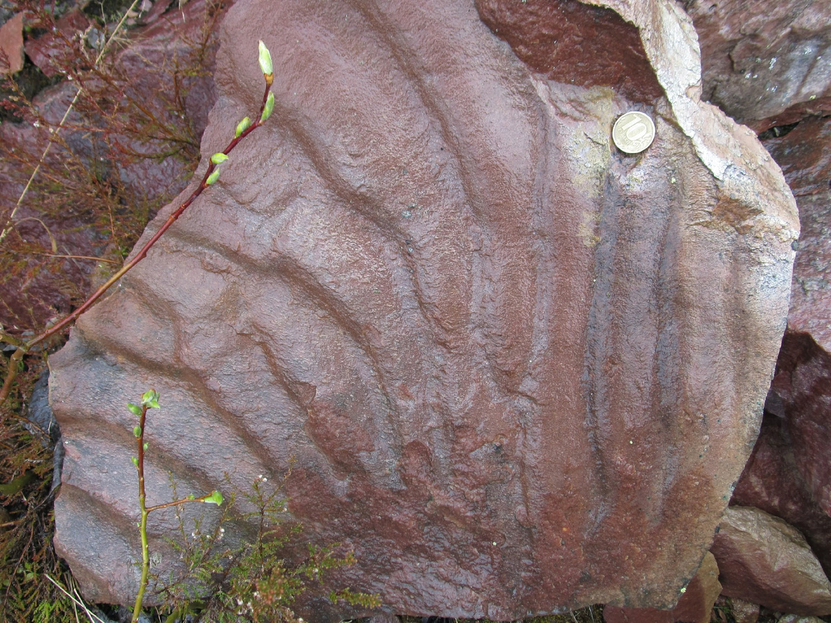 Фото Ивана. Кварцит. Группа Камнеискатель ВКонтакте