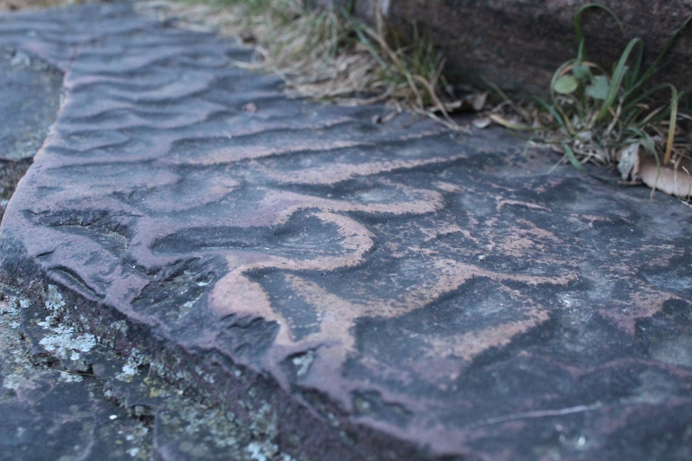 Следы ряби на поверхности напластования кварцитов Сиу (Sioux). Эти текстурные особенности служат доказательством субаквального происхождения кварцитов и возникли в период диагенеза, когда кварцит еще был песком. Источник: NPS.gov. Национальный памятник Пайпстоун, штат Миннесота, США.