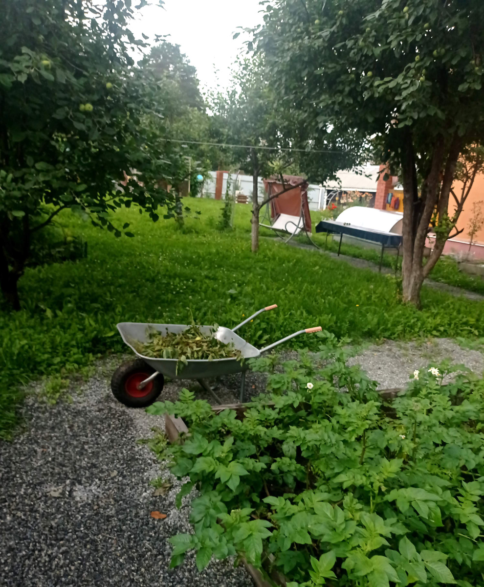 В саду и огороде всё спокойно