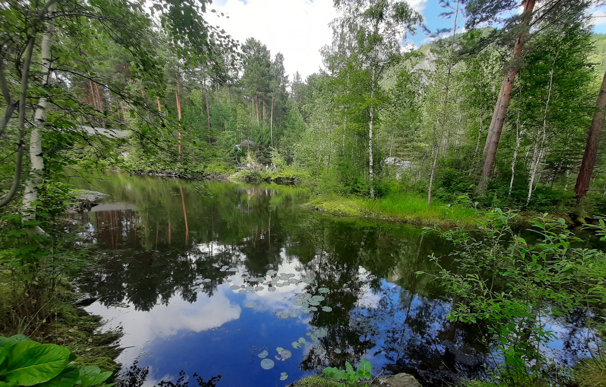 Водяная лилия