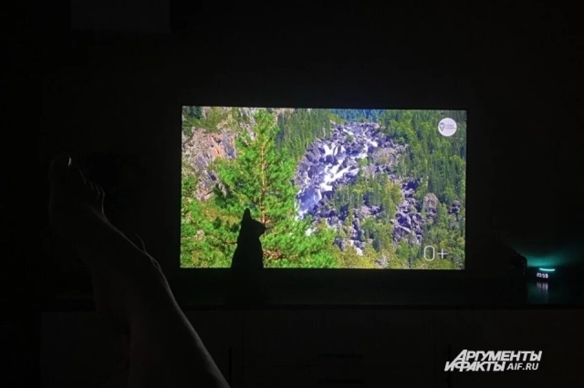    Редактор телеканала «Лайф ТВ» привлечен к ответственности