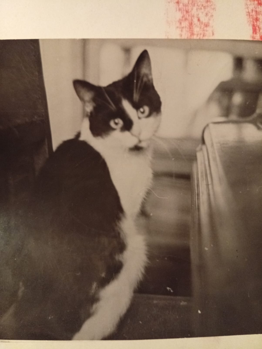 Катя в Москве