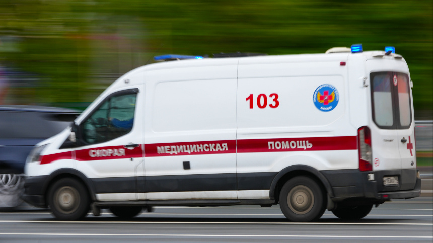    Фото: ИЗВЕСТИЯ/Дмитрий Коротаев