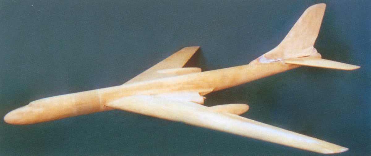 Картинки Яндекса. Модель самолета «124»