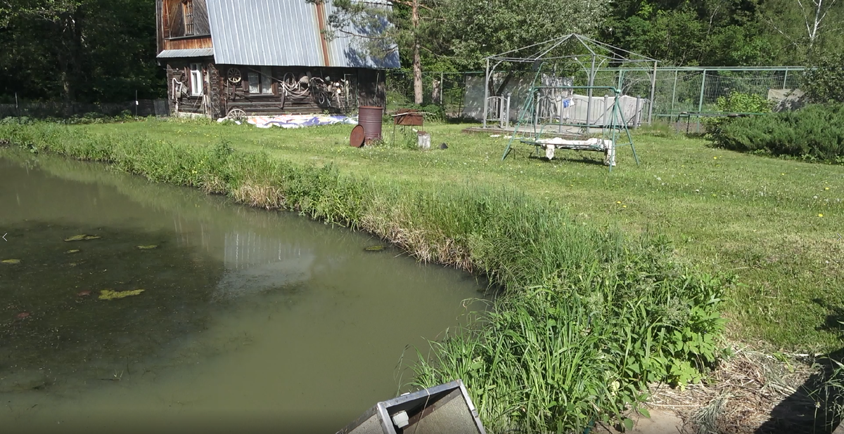 уж на прибрежной траве