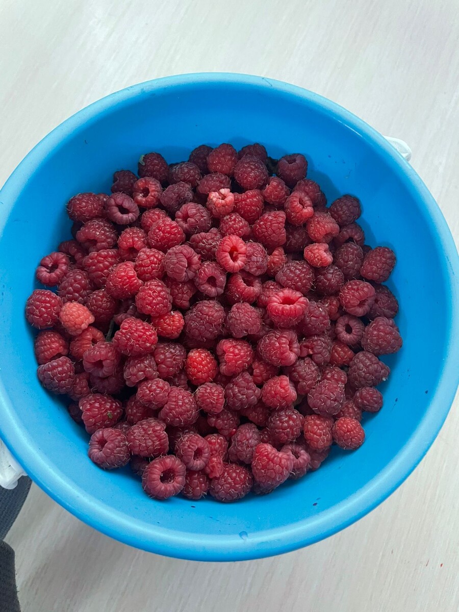 Пока принесла телефон: дети уже утянули треть ведерка)