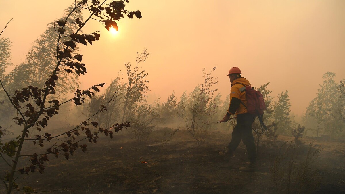    Фото: Максим Богодвид, источник: РИА Новости