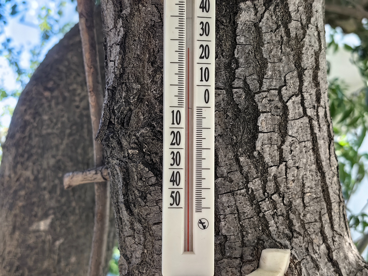 Сегодня. Фото автора канала