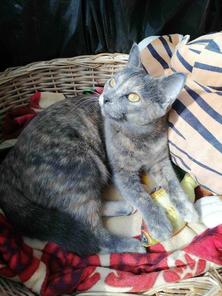 Фото автора 