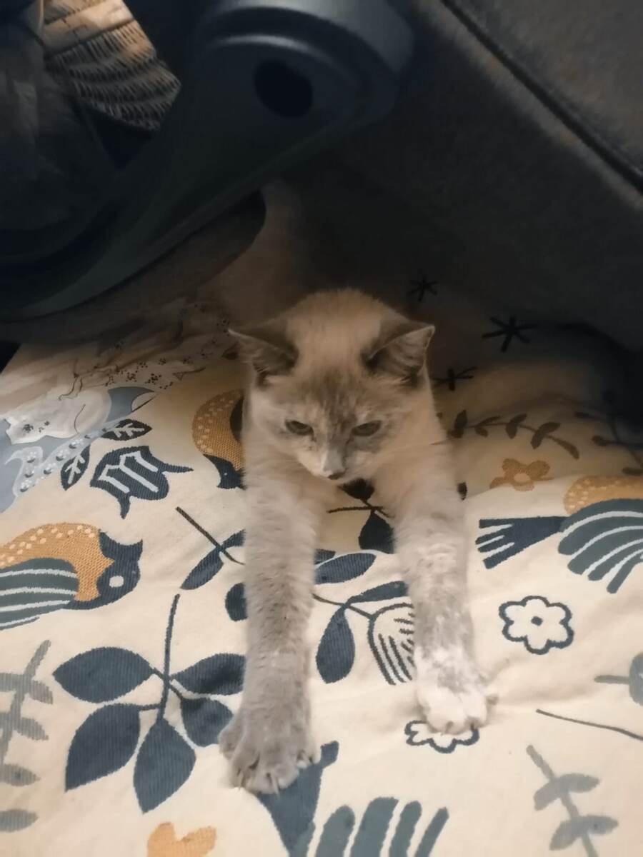 Фото автора 