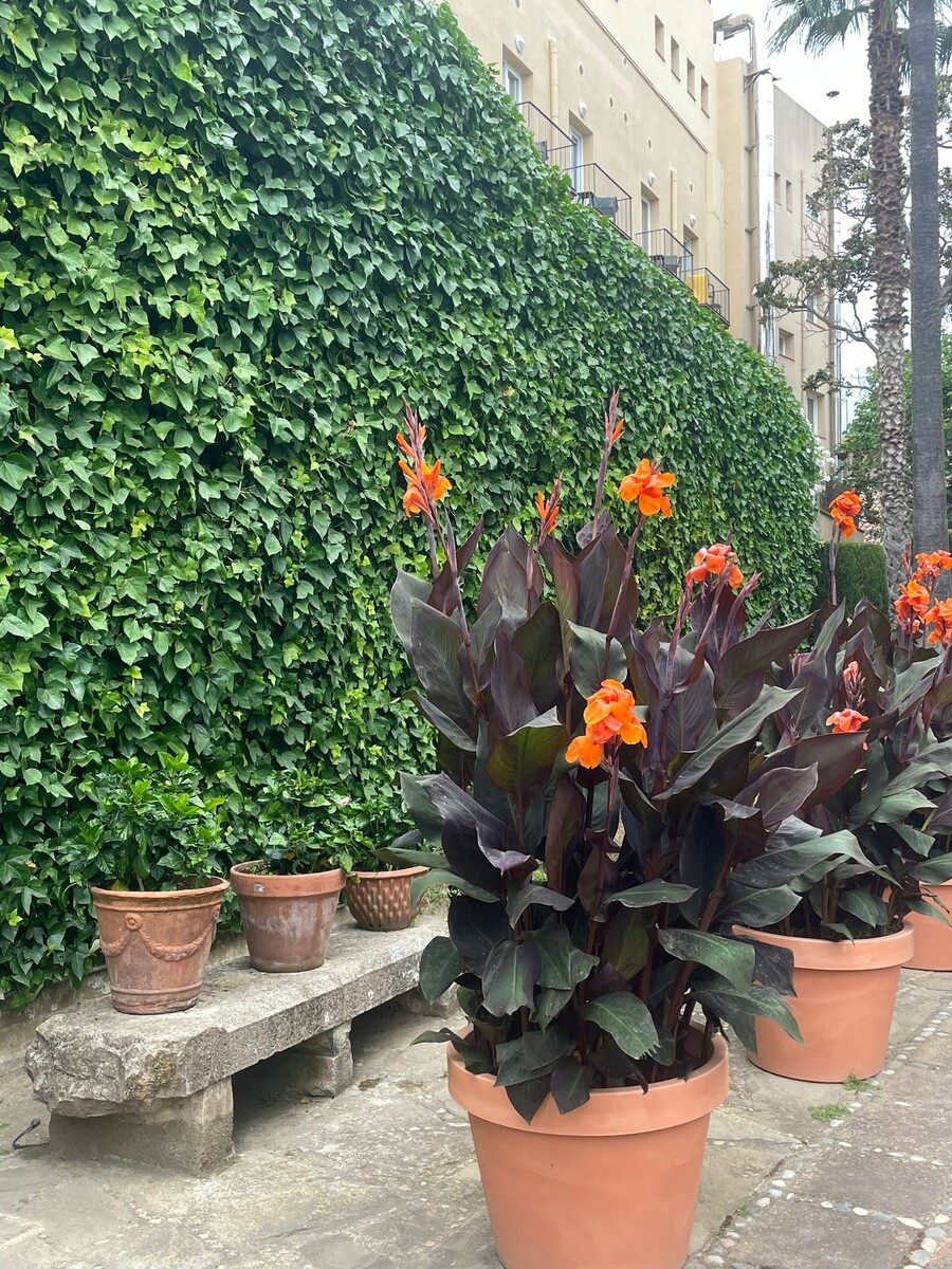 Фото Анастасии Мироновой