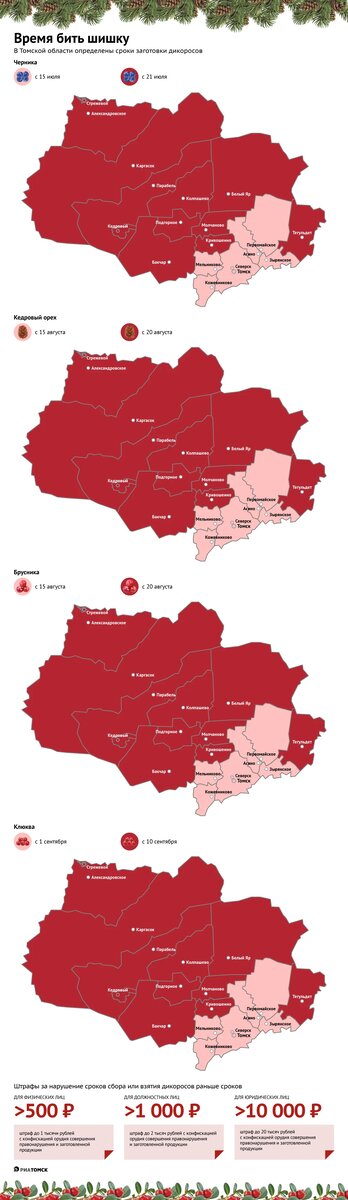    Сроки сбора дикоросов в Томской области, © РИА Томск. Василий Гумилевский