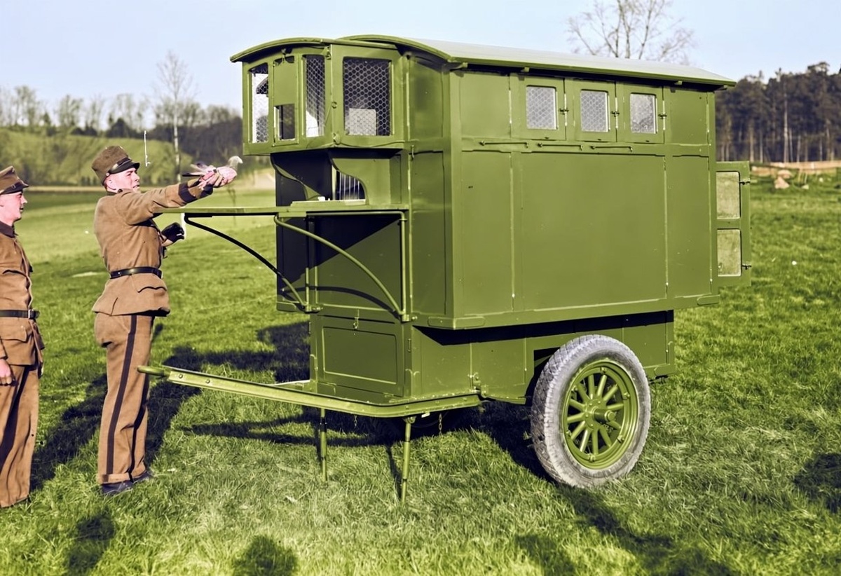 Голуби в военное время. Солдаты армии с голубями в передвижном голубятне на колесах в полку связи во Фрёсунде 1939