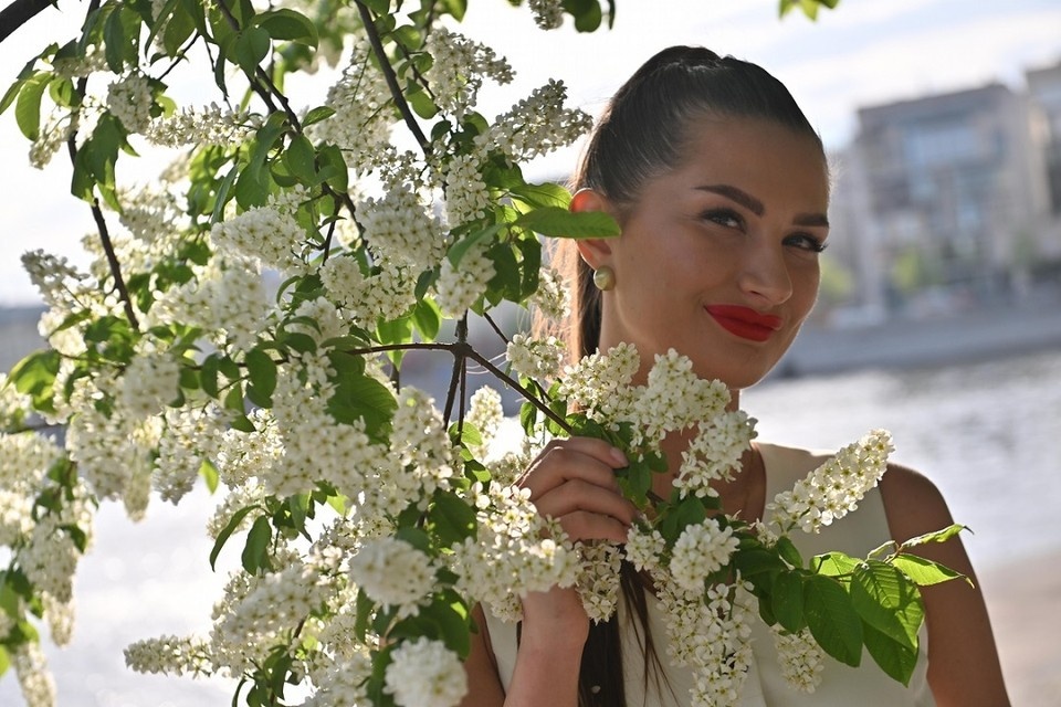    Черемуховый фестиваль 2025 в Черемхово пройдет в седьмой раз Иван МАКЕЕВ