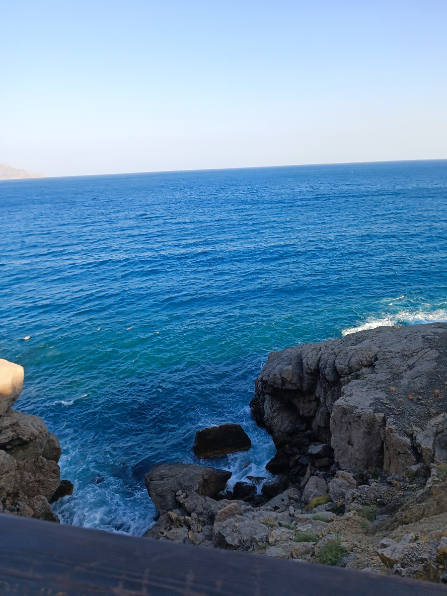 2024г. Новый свет