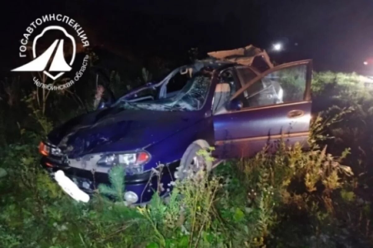    17-летняя девушка погибла в смертельном ДТП с лосем под Нязепетровском