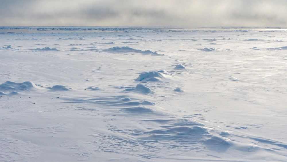    Фото: juan68/Shutterstock/Fotodom