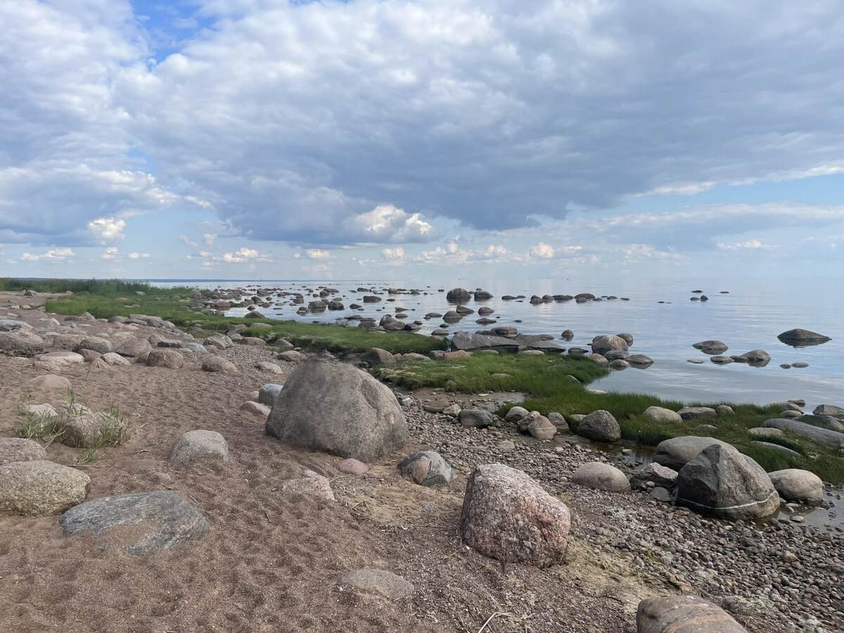 берег Финского залива