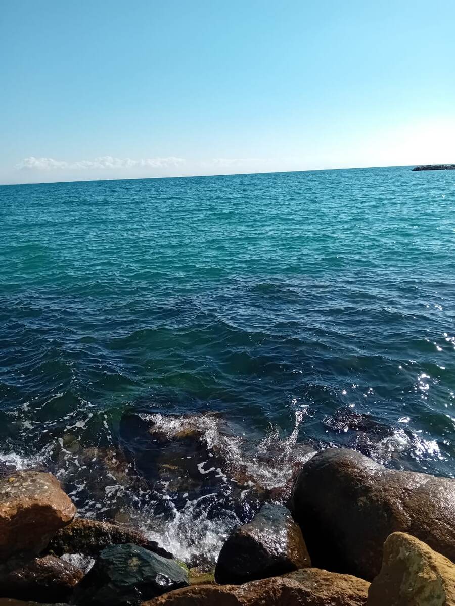 Авторское фото.