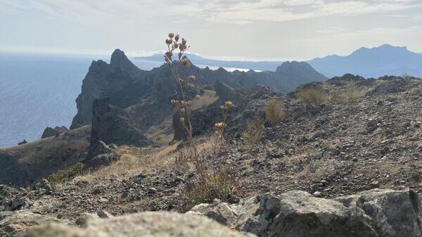    © Наталья Дремова