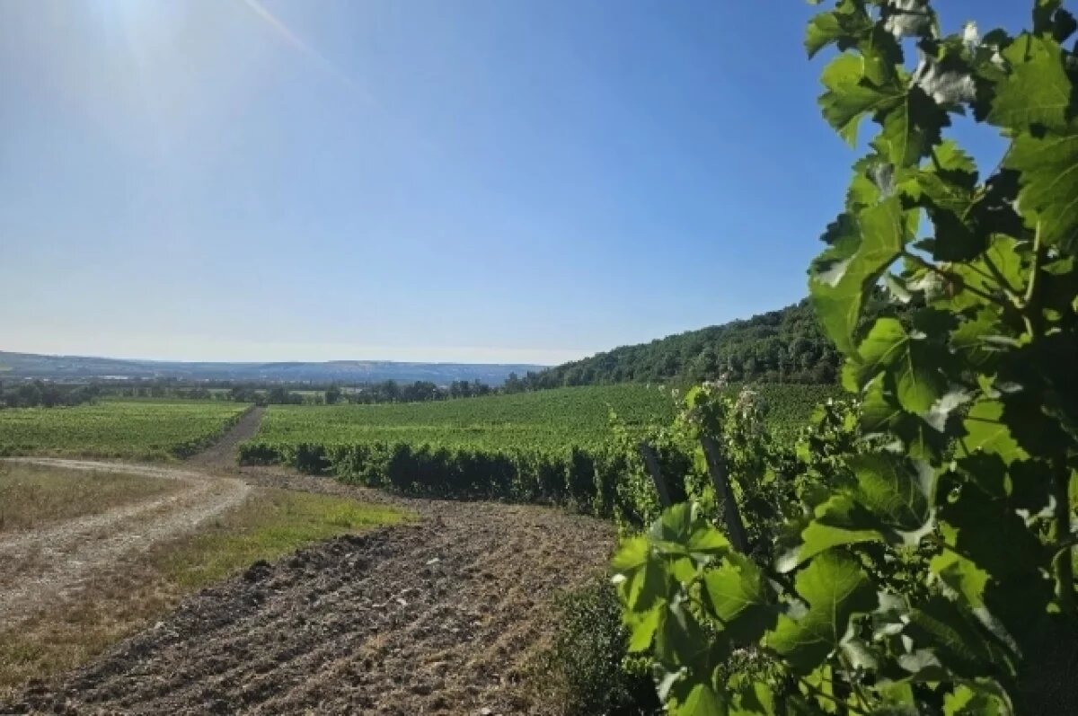    Рассказываем, какие направления выбрать для отпуска и что непременно стоит посетить в Новороссийске, Анапе и Темрюкском районе.