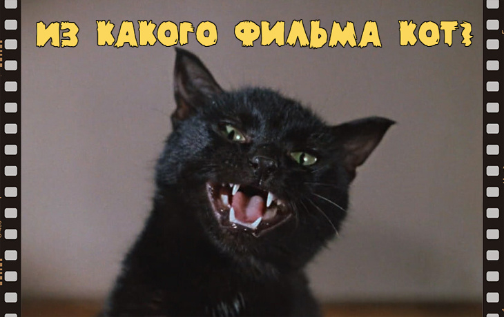 фотоколлаж к тесту - Из какого советского фильма кадр с котом?