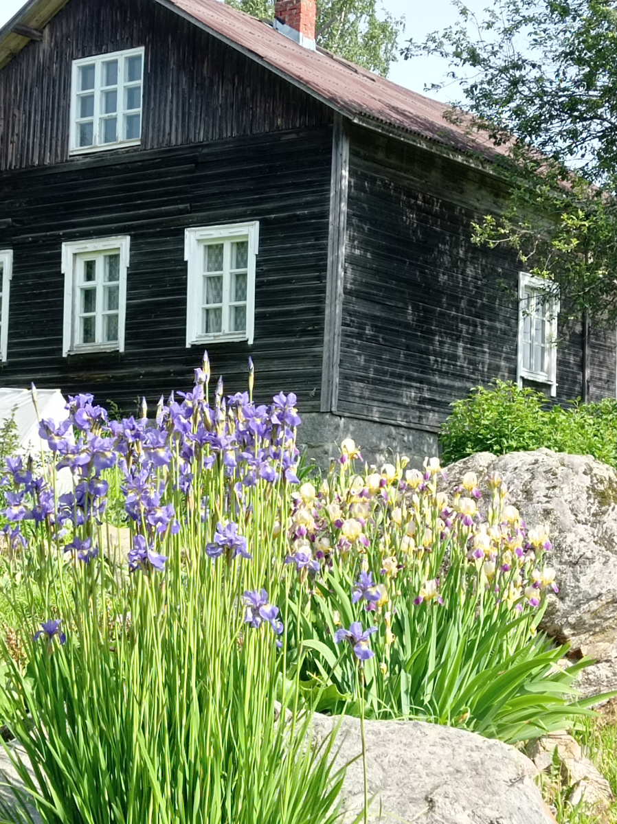 Наш дом. Июнь 2025 года. 